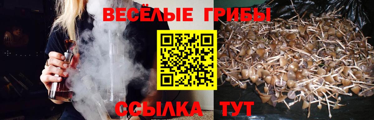 Псилоцибиновые грибы мицелий Лосино-Петровский